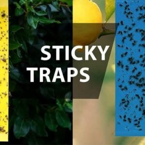 Sticky Traps Product 1